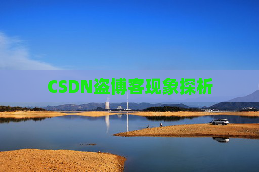 CSDN盗博客现象探析 CSDN盗博客现象探析